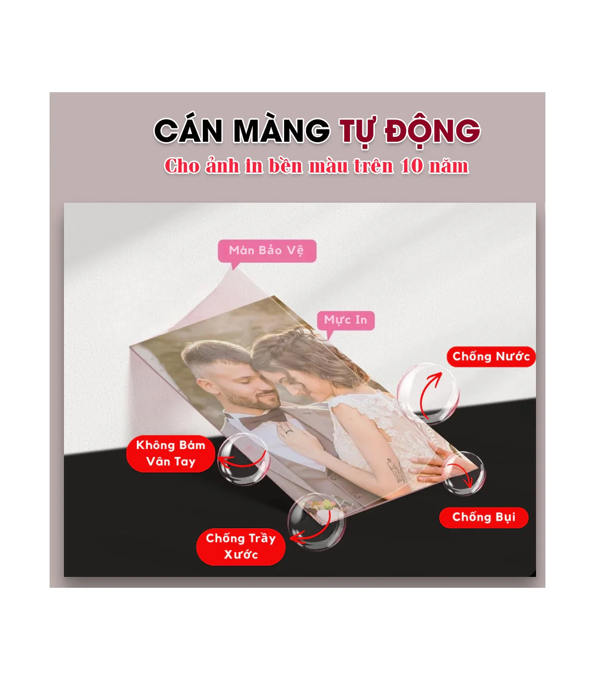 Giấy in ảnh cho máy HPRT CP2100 và Z3 | ⓿❾❼❼❹❼❽❹❻❻ | METAKING