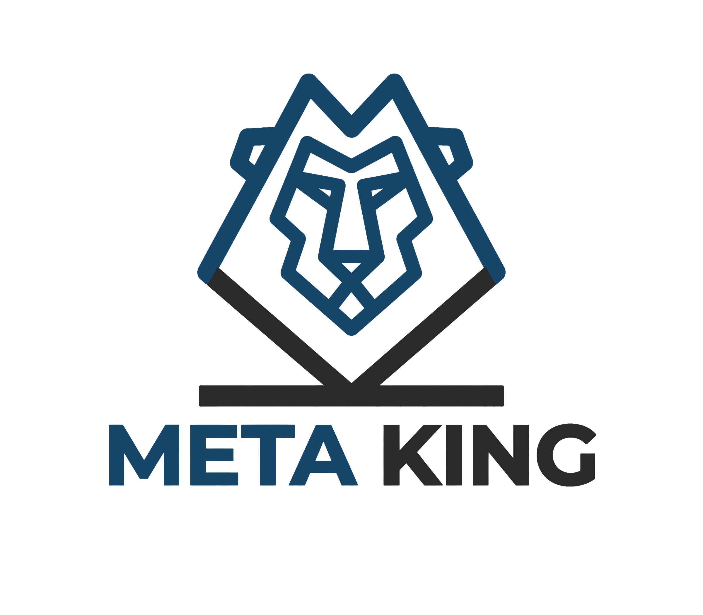 METAKING